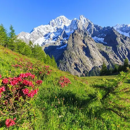 Graceful In - Happy * Courmayeur